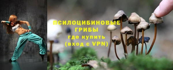 ГАЛЛЮЦИНОГЕННЫЕ ГРИБЫ Алексеевка