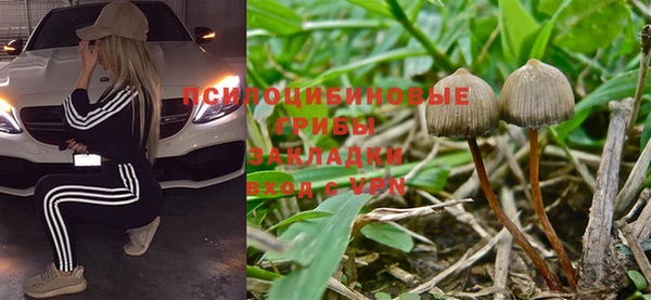 MESCALINE Алзамай